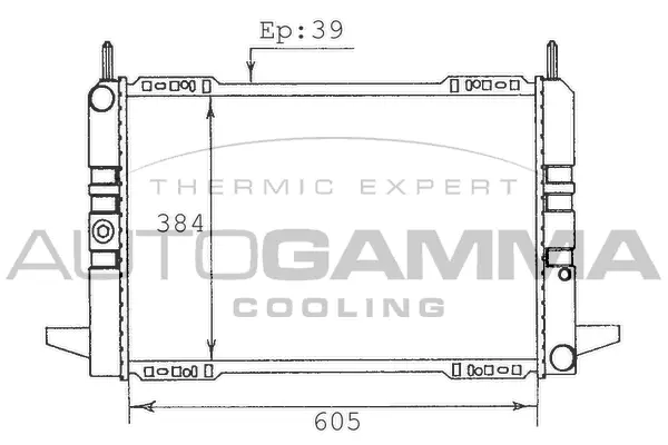 Radiator, engine cooling (100363)
