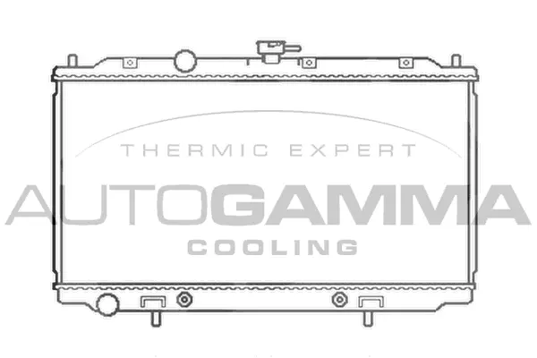 Radiator, engine cooling (103501)