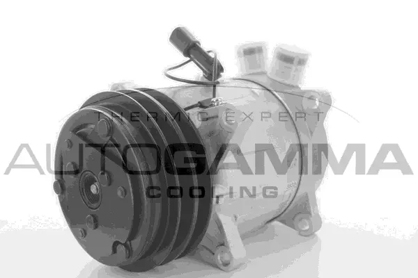 Compressor, air conditioning (109104)