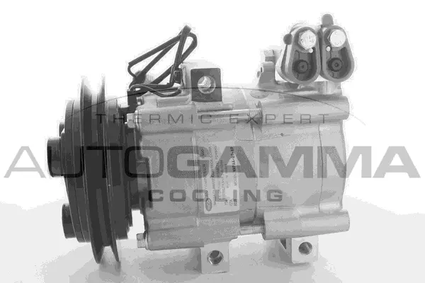 Compressor, air conditioning (118495)