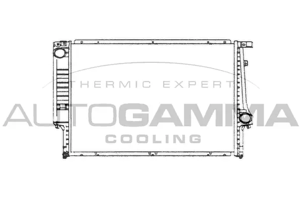 Radiator, engine cooling (101982)