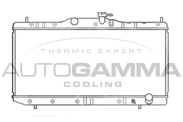 Radiator, engine cooling (102352)