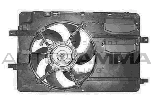 Fan, engine cooling (GA200766)