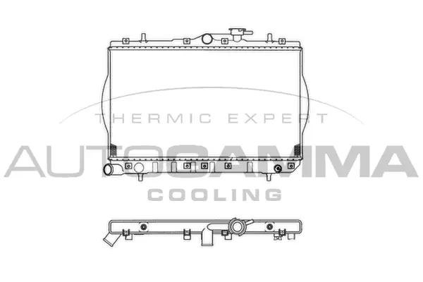Radiator, engine cooling (103212)
