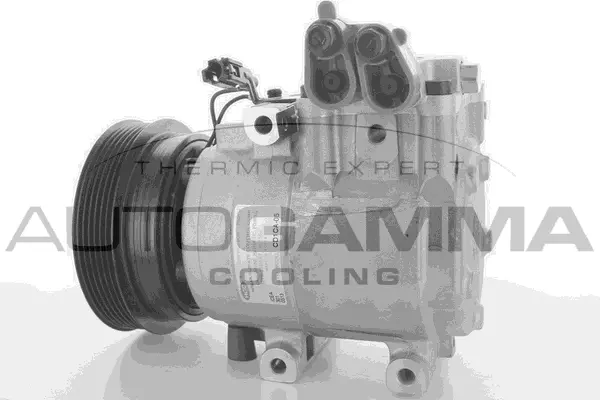 Compressor, air conditioning (118502)