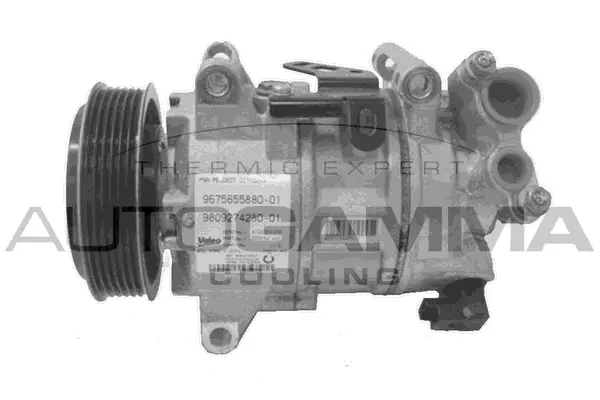Compressor, air conditioning (118372)