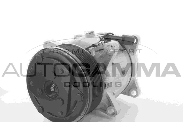 Compressor, air conditioning (109103)