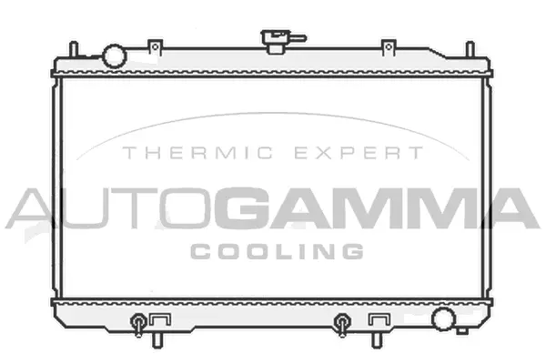 Radiator, engine cooling (107018)