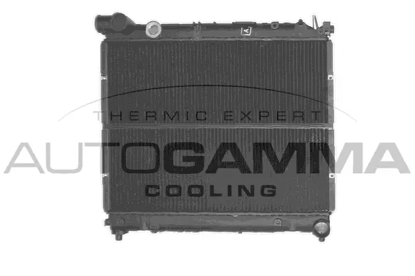 Radiator, engine cooling (101265)