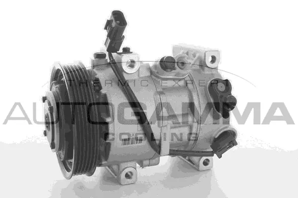 Compressor, air conditioning (118366)