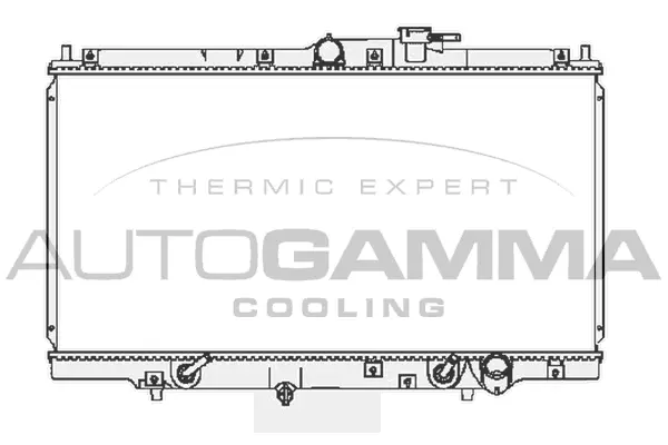 Radiator, engine cooling (103796)