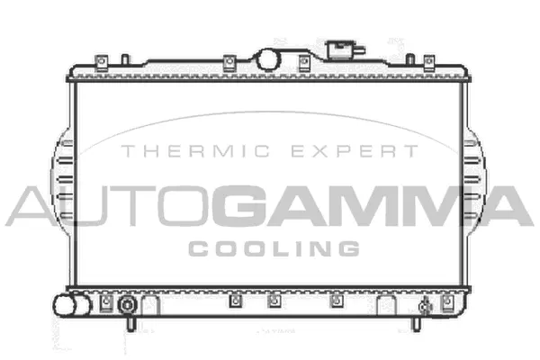 Radiator, engine cooling (104062)