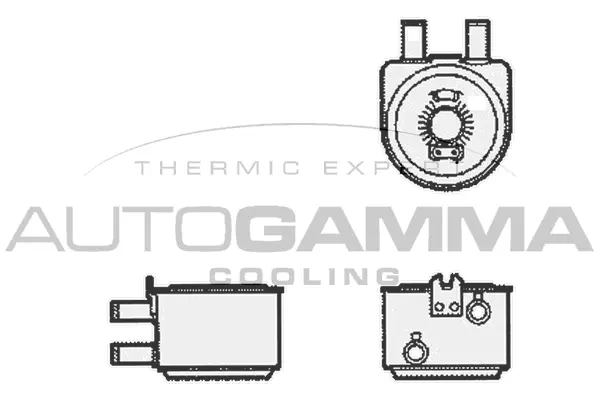 Oil Cooler, engine oil (104785)