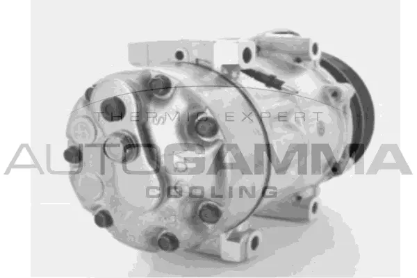 Compressor, air conditioning (108009)