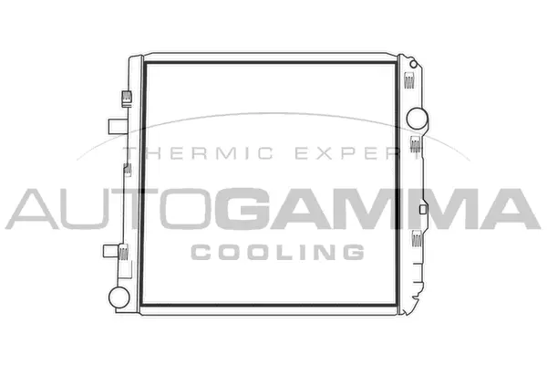 Radiator, engine cooling (404212)