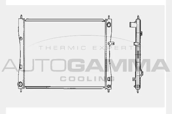 Radiator, engine cooling (104419)