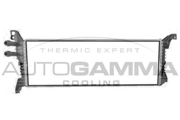Radiator, engine cooling (107822)