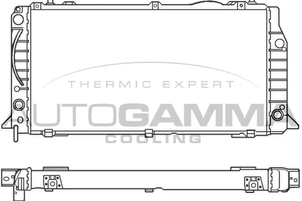 Radiator, engine cooling (100049)