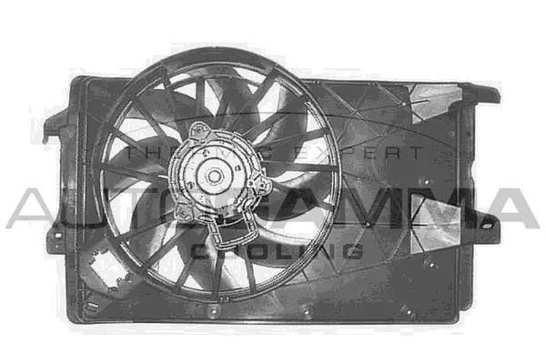 Fan, engine cooling (GA200802)