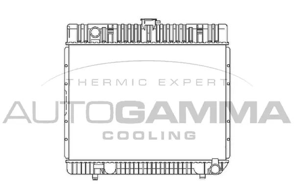 Radiator, engine cooling (100532)