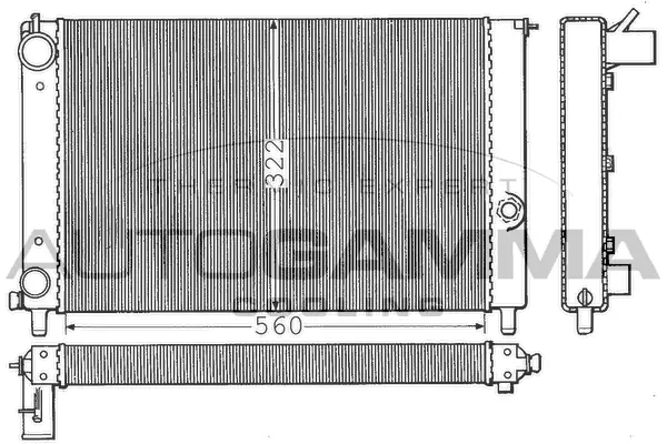 Radiator, engine cooling (100251)