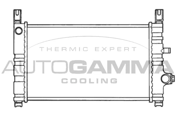 Radiator, engine cooling (100355)