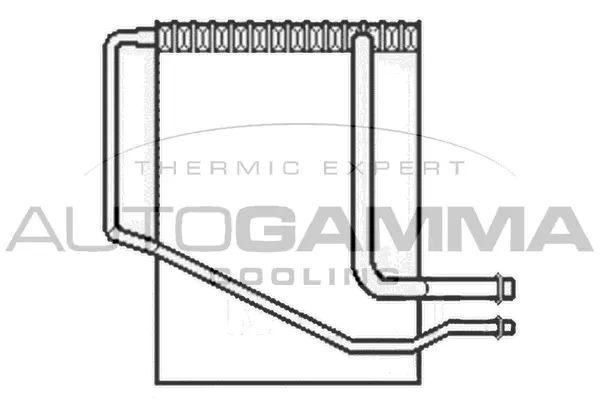 Evaporator, air conditioning (112021)