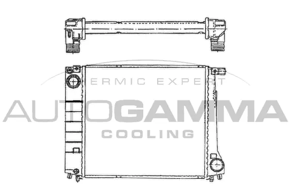 Radiator, engine cooling (100097)