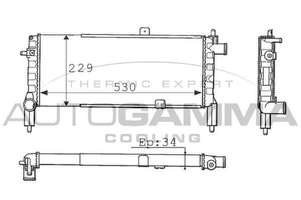 Radiator, engine cooling (100706)