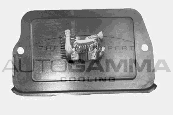 Resistor, interior blower (GA15278)