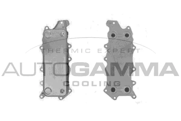 Oil Cooler, engine oil (110006)