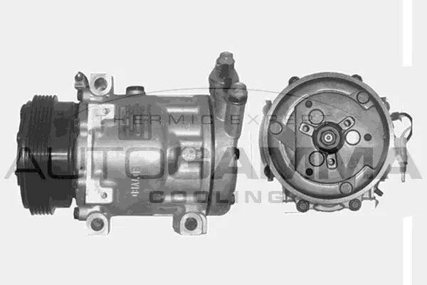 Compressor, air conditioning (108013)