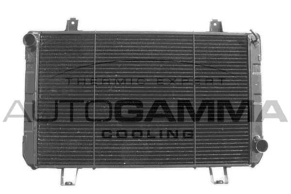 Radiator, engine cooling (102095)