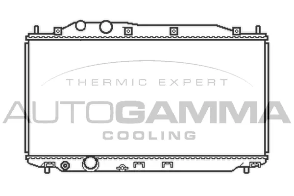 Radiator, engine cooling (105485)