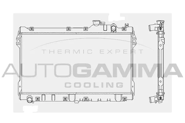 Radiator, engine cooling (101998)