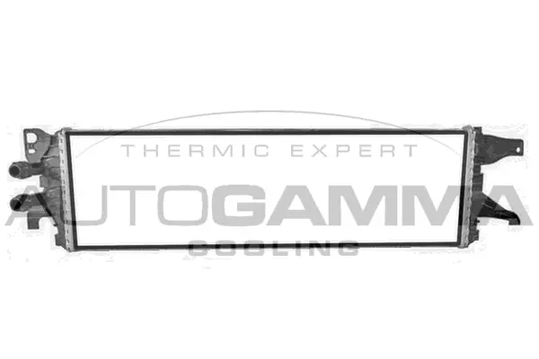 Radiator, engine cooling (107823)