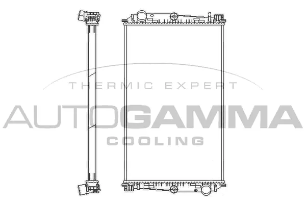 Radiator, engine cooling (405294)