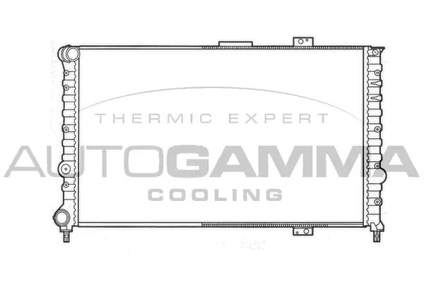 Radiator, engine cooling (101148)