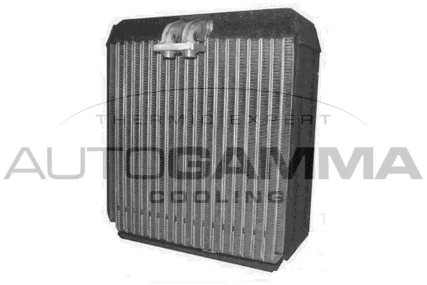 Evaporator, air conditioning (112070)