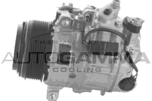 Compressor, air conditioning (118748)