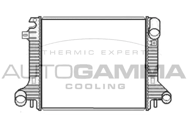 Radiator, engine cooling (404602)