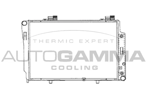 Radiator, engine cooling (101320)