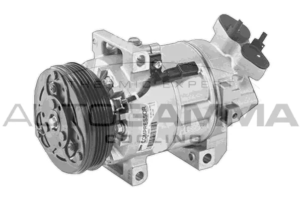 Compressor, air conditioning (118625)
