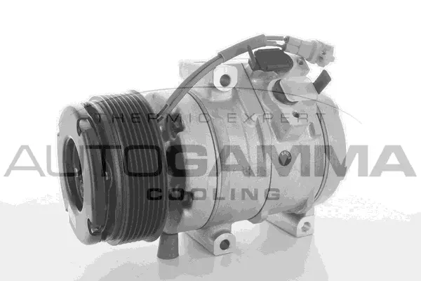 Compressor, air conditioning (118424)