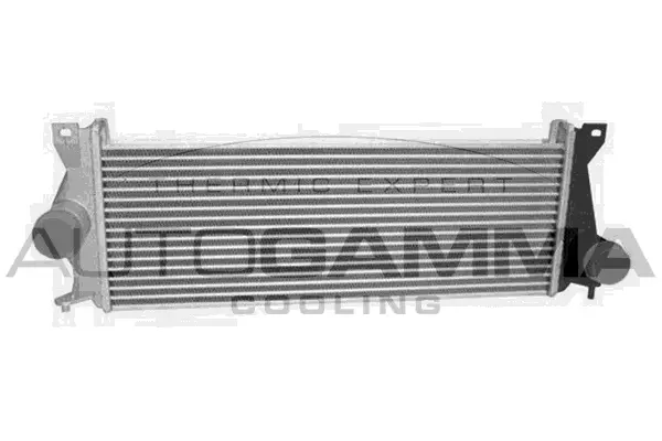 Charge Air Cooler (107713)