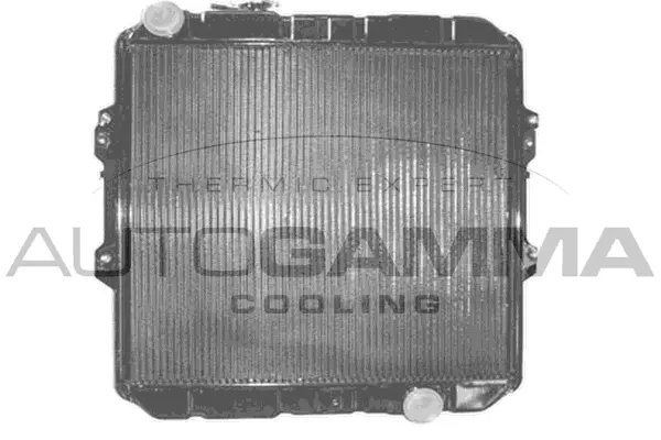 Radiator, engine cooling (104150)