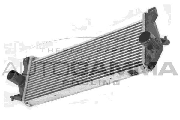Charge Air Cooler (107807)