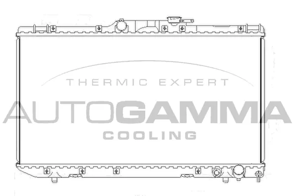 Radiator, engine cooling (104118)