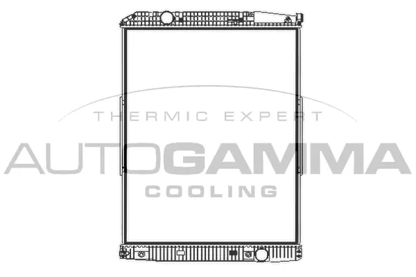Radiator, engine cooling (404962)