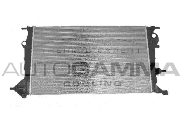Radiator, engine cooling (105219)